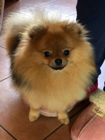 Lucy