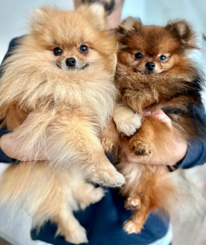 Muffin e Margot