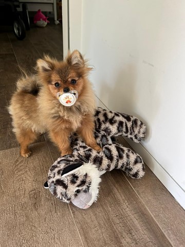 Margot  5 mesi