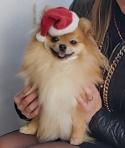 Luna Babbo Natale
