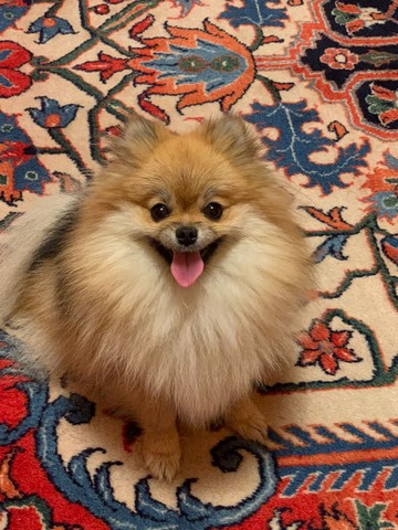 Lucy